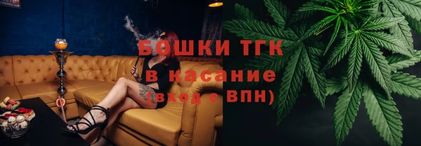 шишки Ельня