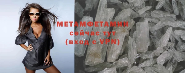 шишки Ельня