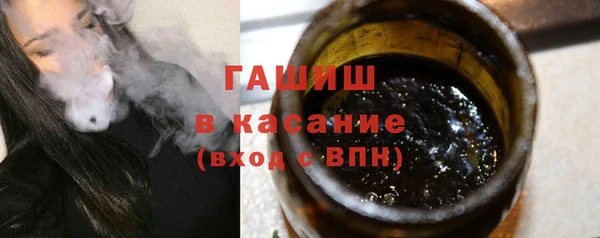 шишки Ельня