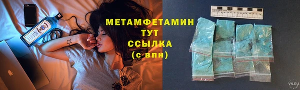 шишки Ельня