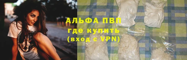 шишки Ельня