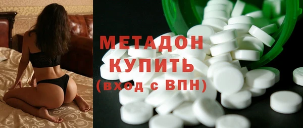 шишки Ельня