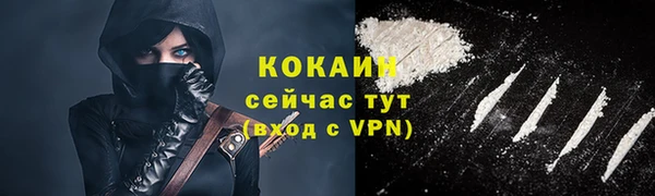 шишки Ельня