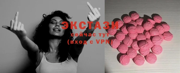 шишки Ельня