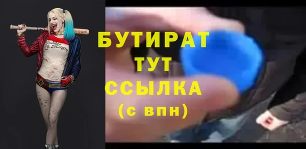шишки Ельня