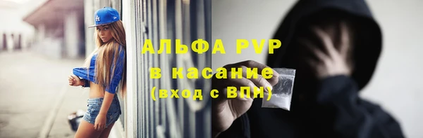 шишки Ельня