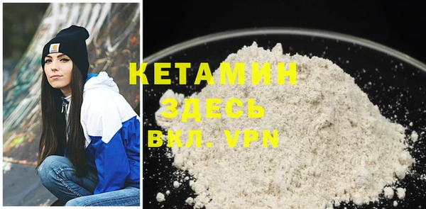 шишки Ельня