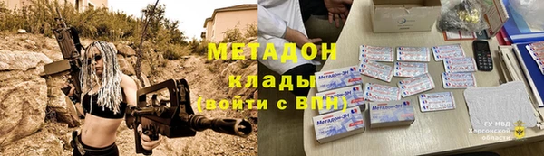 шишки Ельня