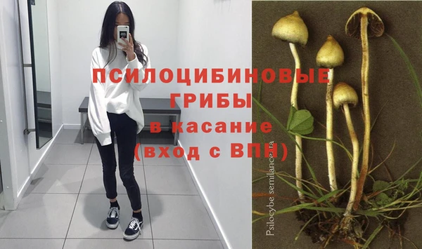 ALPHA-PVP Елизово
