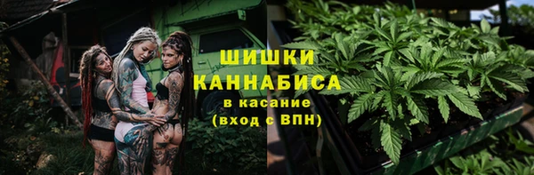 шишки Ельня