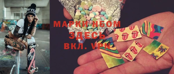 шишки Ельня