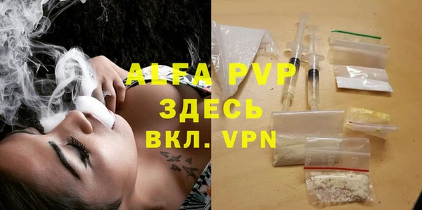 шишки Ельня